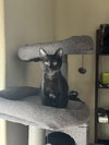 Salem