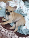 Paco