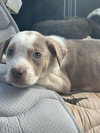 Jax