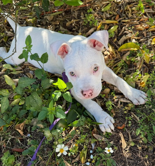 Casper