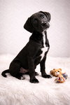 Zeus - Photo 1