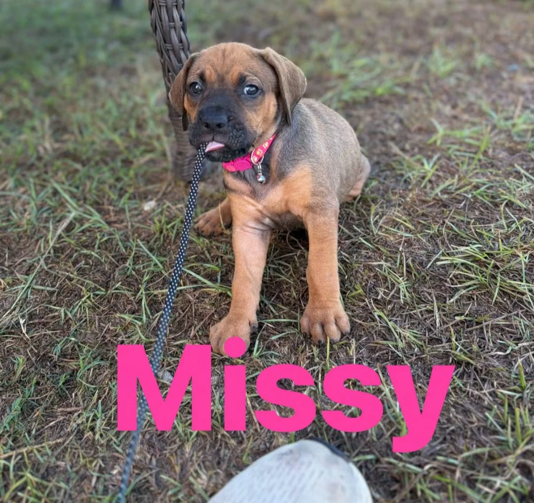 Missy
