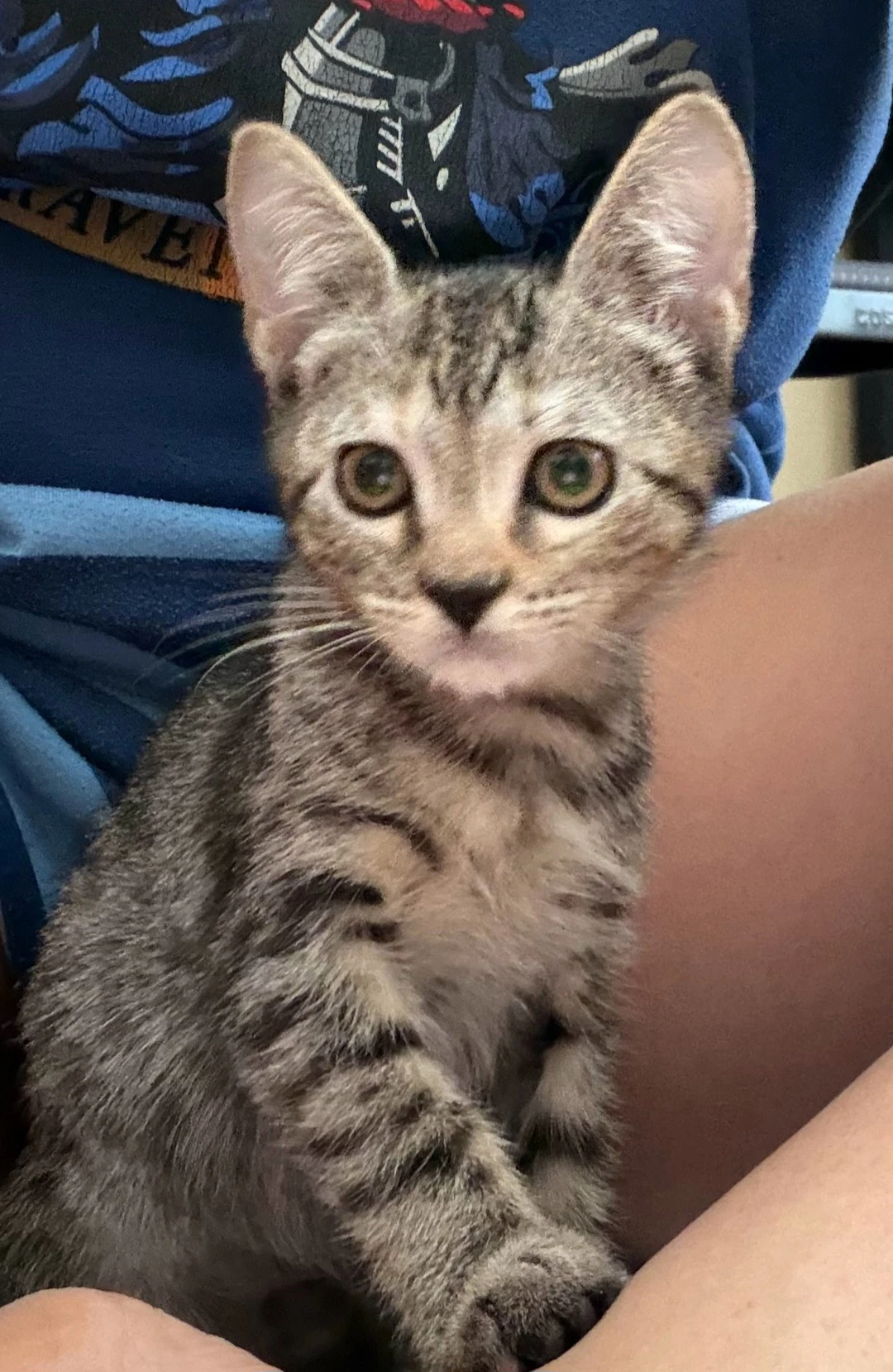 Eleanor