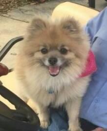 Macy