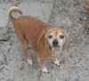 Rusty