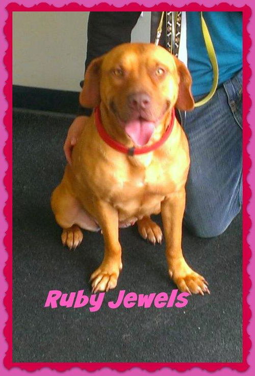 Ruby Jewels