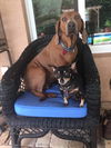 Lola