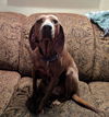 Lola