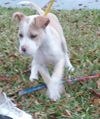Mason