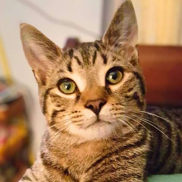 Nick
