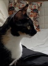 Esmae - Photo 3