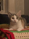 Esmae - Photo 5
