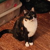 Esmae - Photo 8