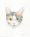 Petula - Photo 6