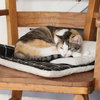 Petula - Photo 5