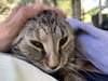 Kandy (beautiful and shy) - Photo 7