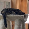 Kandy (beautiful and shy) - Photo 12