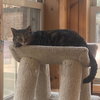 Kandy (beautiful and shy) - Photo 13