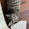 Isabella - Photo 3