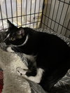 Beauregard - Photo 12