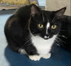 Beauregard - Photo 2
