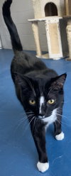 Beauregard - Photo 6