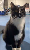 Beauregard - Photo 8
