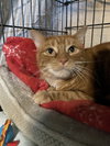 Pappy - Photo 7