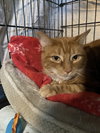 Pappy - Photo 8