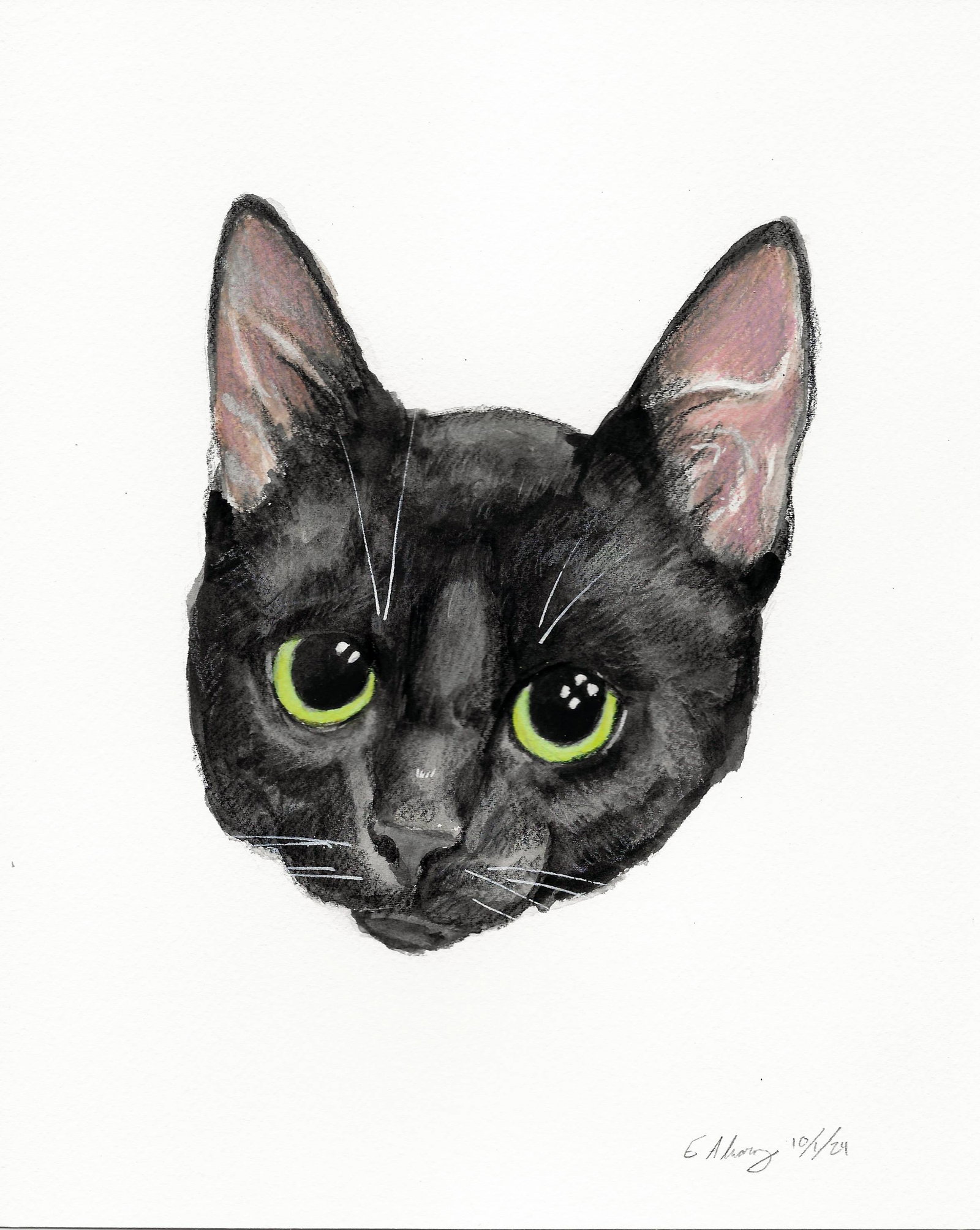 Rocket, photo 2