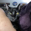 Rocket - Photo 7