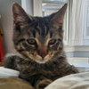 Tigger R - Photo 2