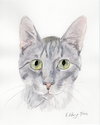 Gambit - Photo 6