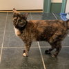 Fran - Photo 2