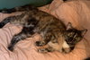 Fran - Photo 3