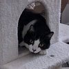 Spiro - Photo 3