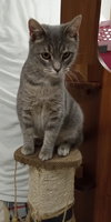 Bonnie Jo - Photo 5