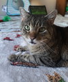 Jason - Photo 4