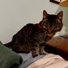 Frasier - Photo 7