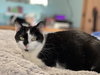 Emily - Photo 4