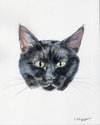 Fudge - Photo 2