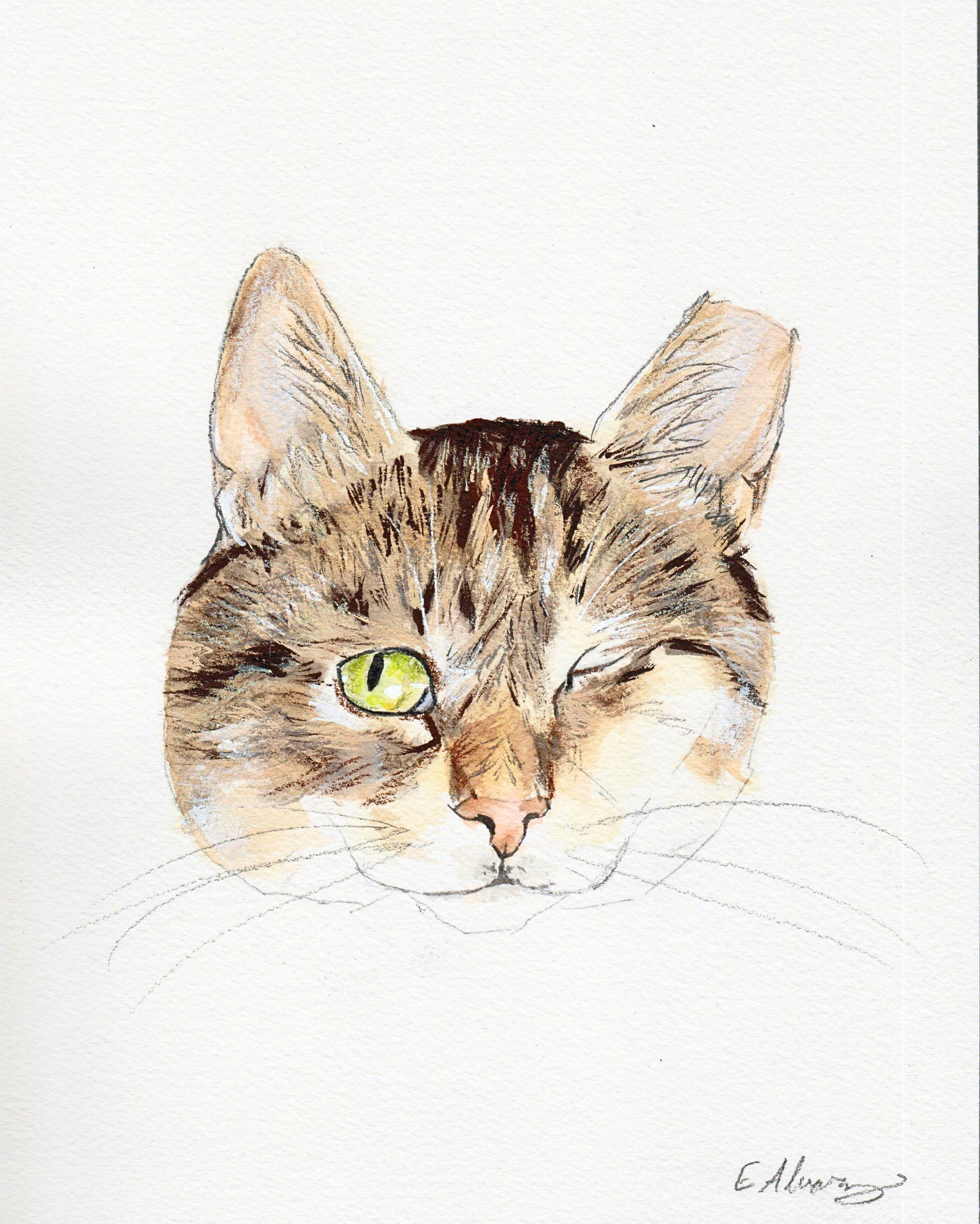 Willow, photo 6