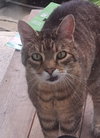 Albert - Photo 2