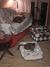 Albert - Photo 3