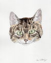 Albert - Photo 5