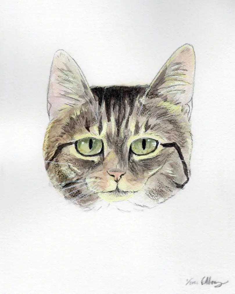 Albert image 3