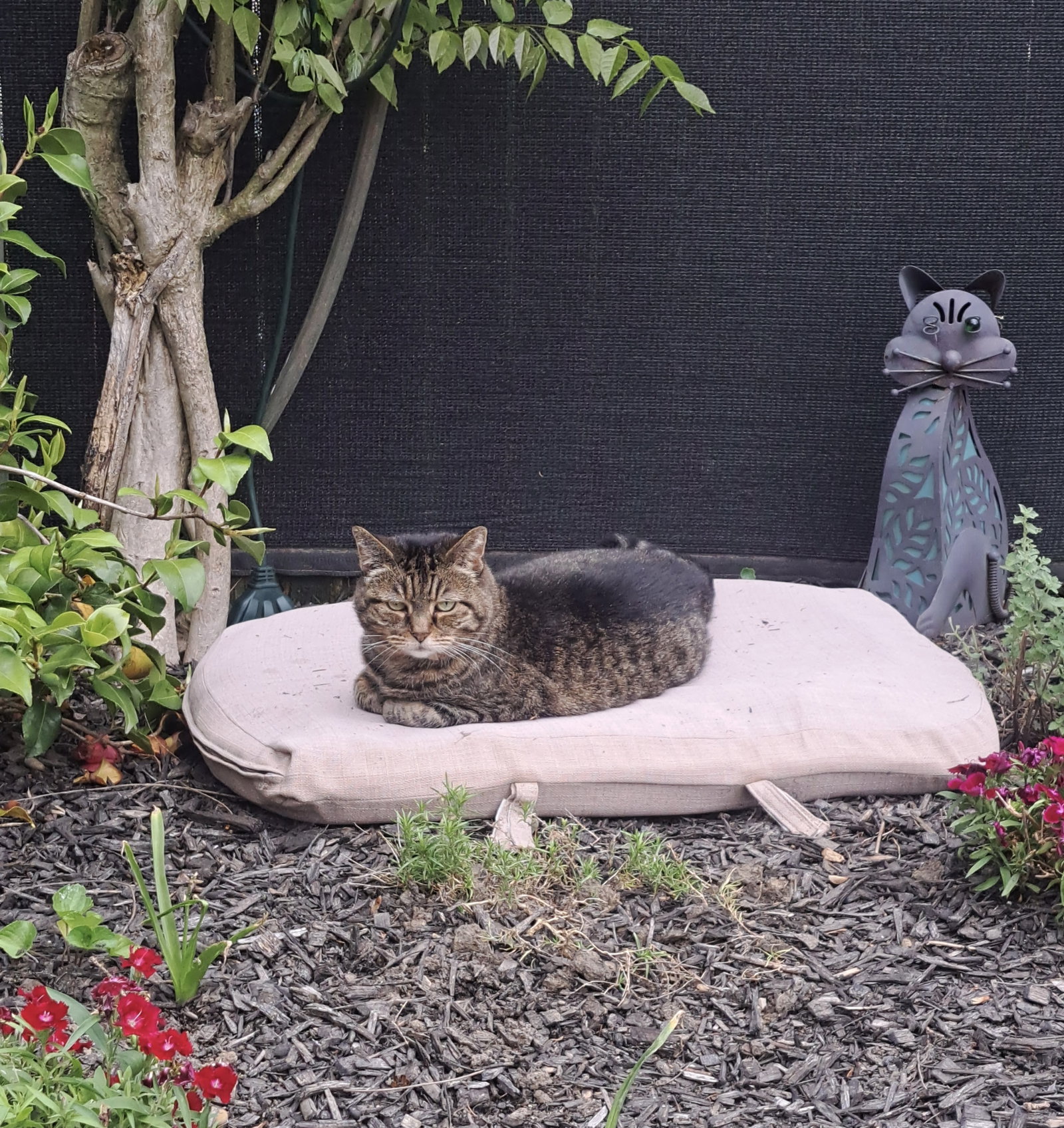 Albert, photo 7