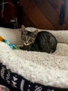 Meg - Photo 3