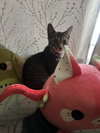 Meg - Photo 5
