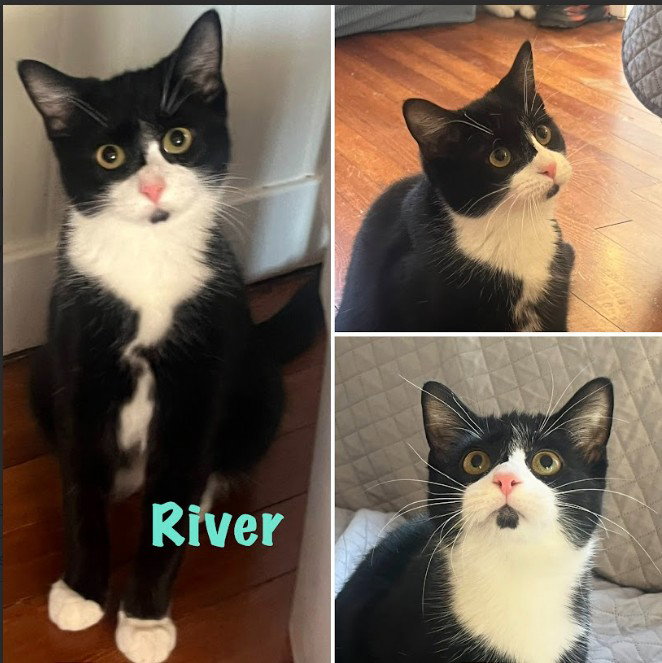 River (Bonded with Gonzo) Image